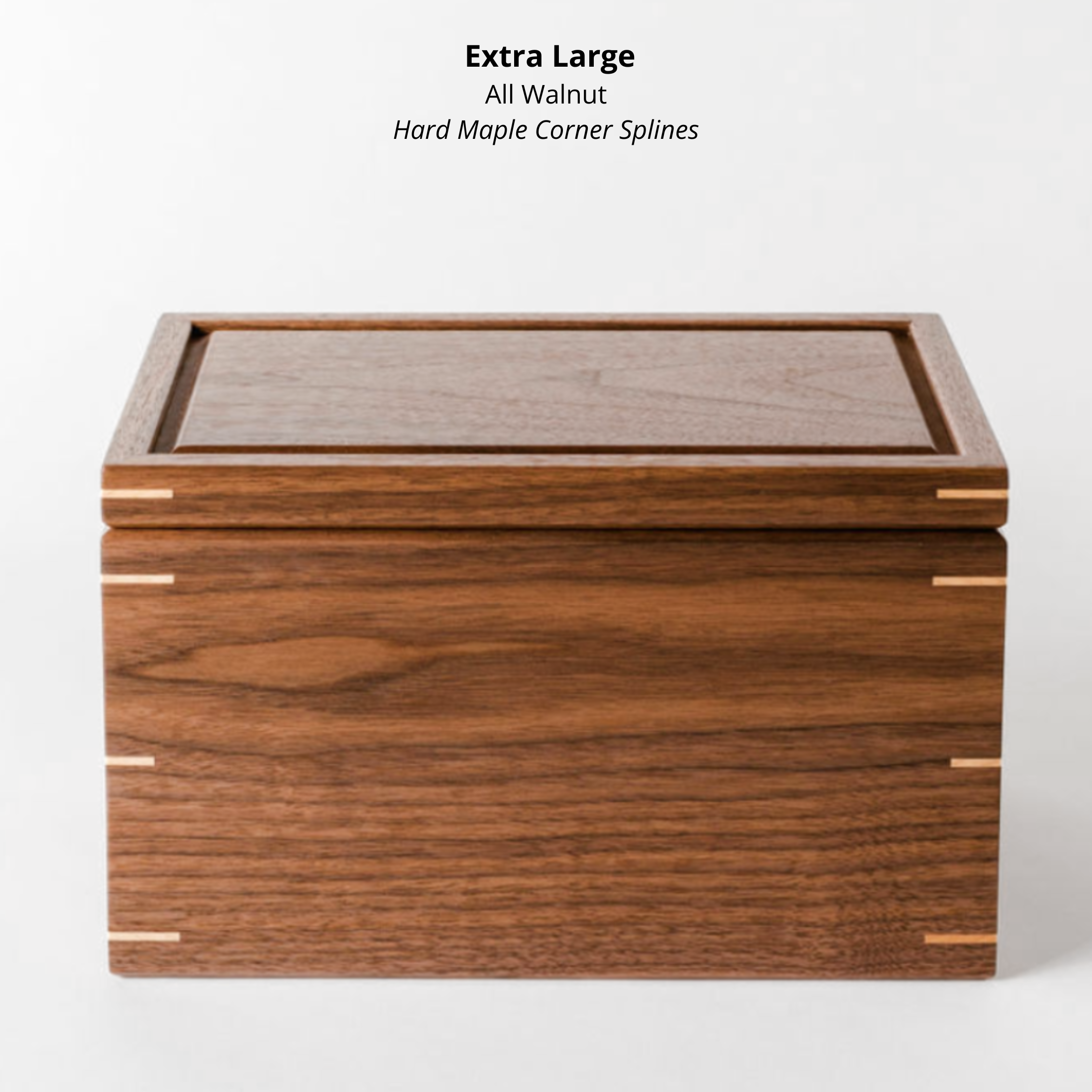 Extra large handcrafted all walnut keepsake box with maple corner splines, with a white background